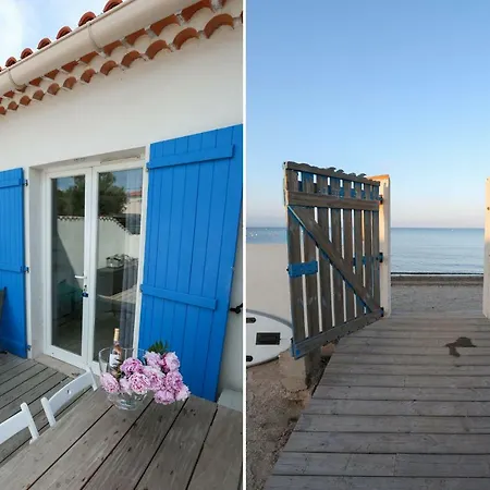 Au Grand Sud Hyères