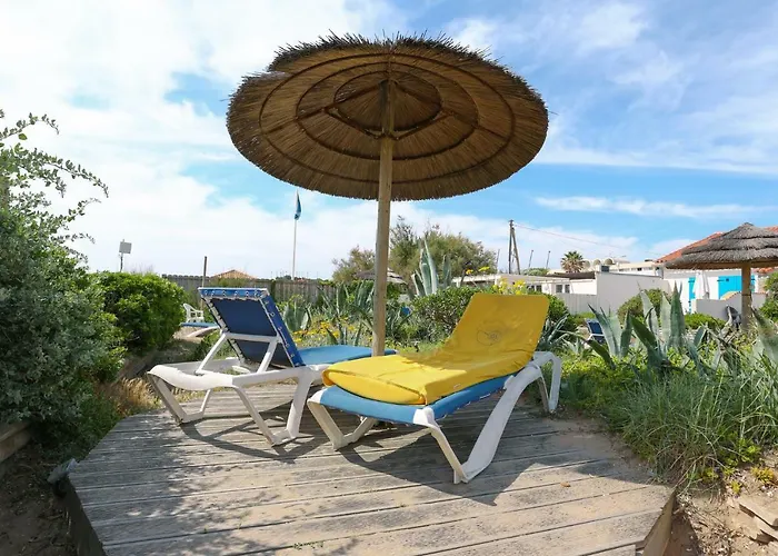 Au Grand Sud * Hyères